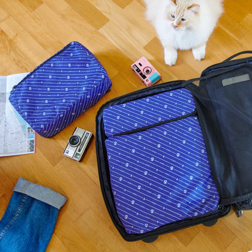 Small blue suitcase organizer