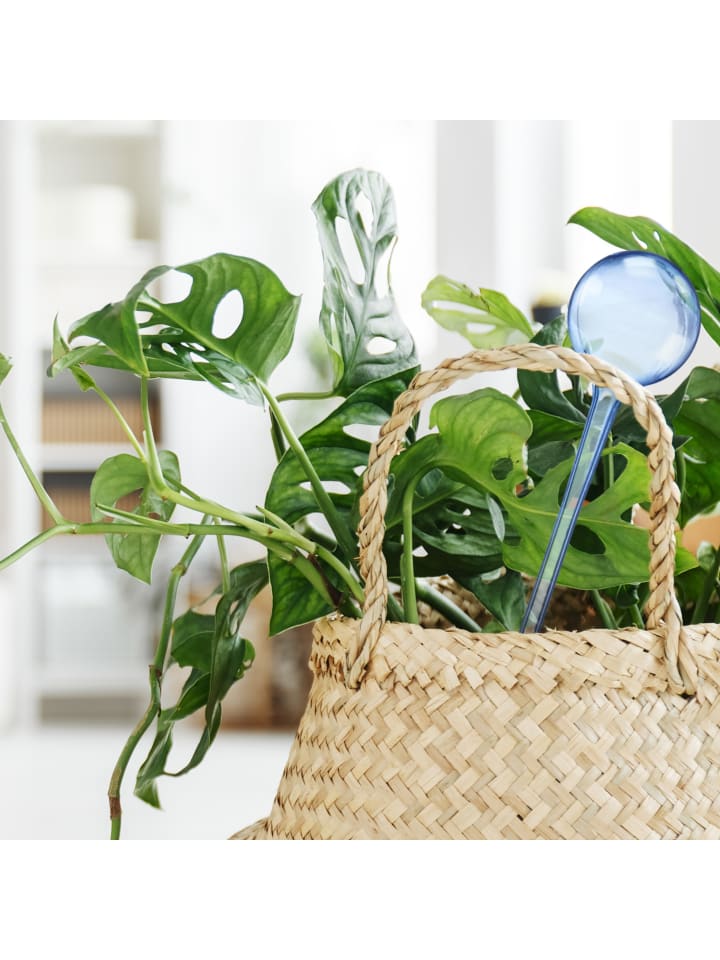 relaxdays 6x Bewässerungskugel in Blau günstig kaufen onesize