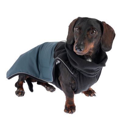 TIAKI Hundemantel Warmup Pro Sky