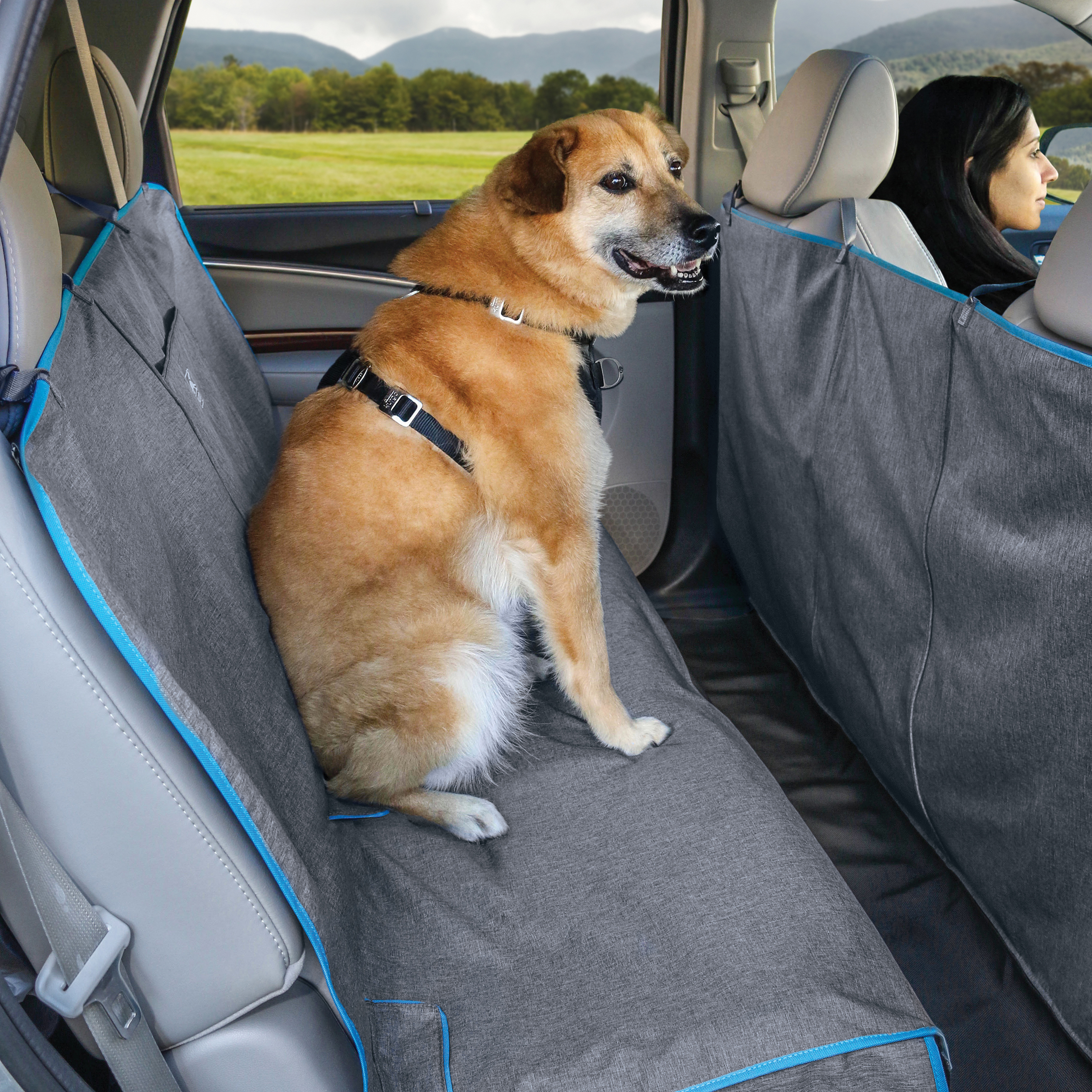 Kurgo Autozubehör Kurgo Coast to Coast Auto-Hängematte für Hunde, Grau