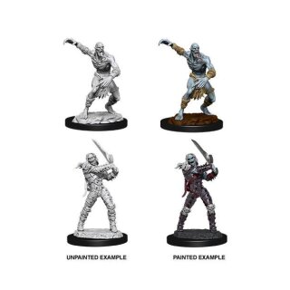 D&D Nolzur's Marvelous Miniatures - Wight & Ghast