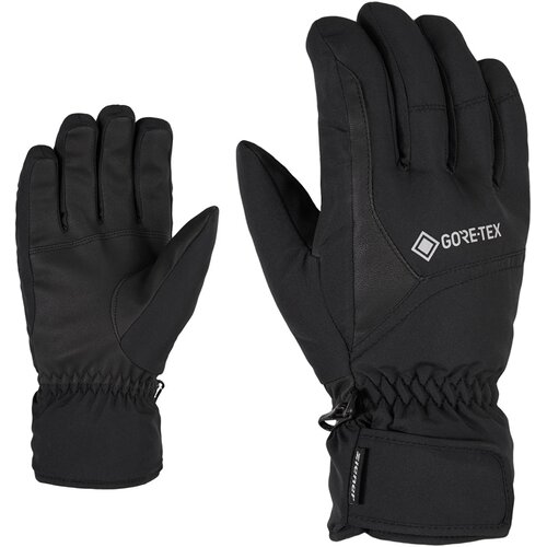 HERREN HANDSCHUHE GARWEN GTX GLOVE SKI ALPINE