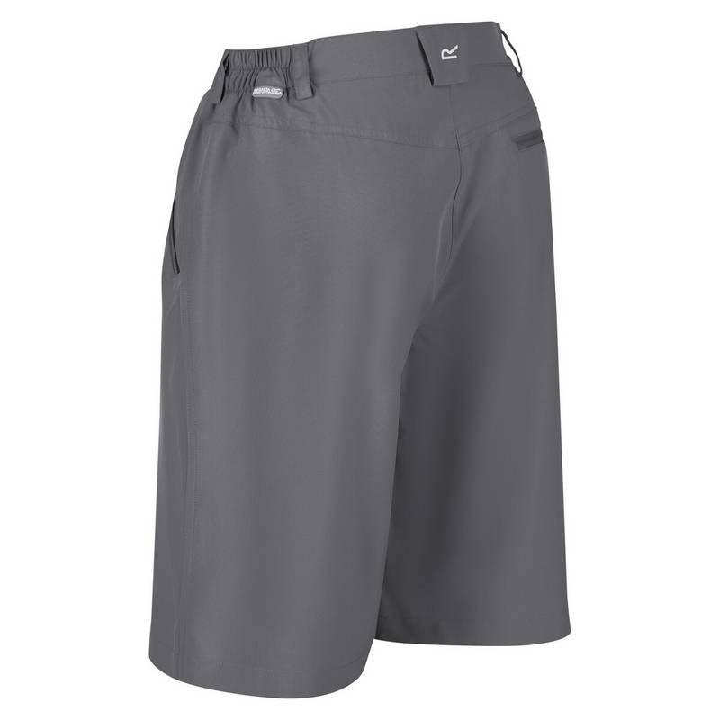 Regatta Xert It Shorts Damen