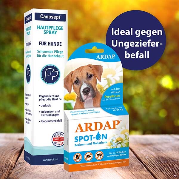 Canosept Fellpflege Canosept Hautpflege Spray für Hunde 250 ml