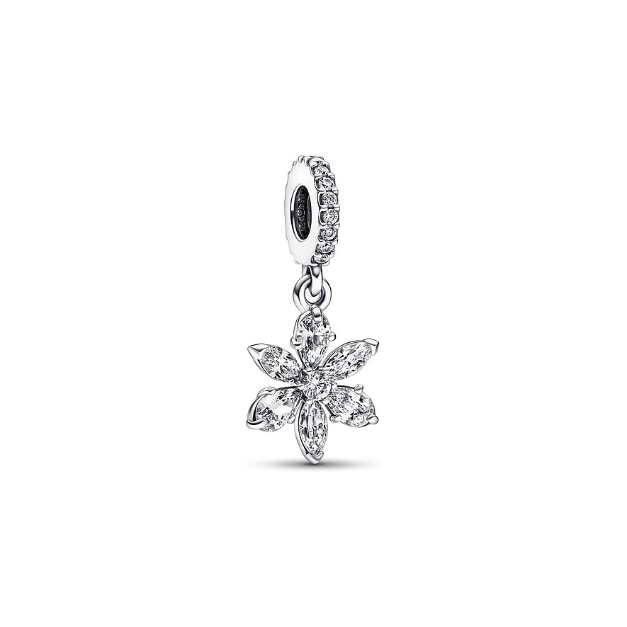 Pandora Anhänger Timeless