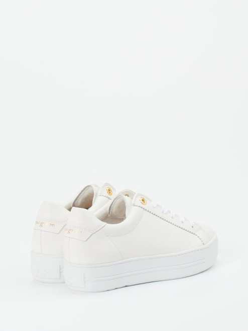 Sneaker-16637990291 Paul Green