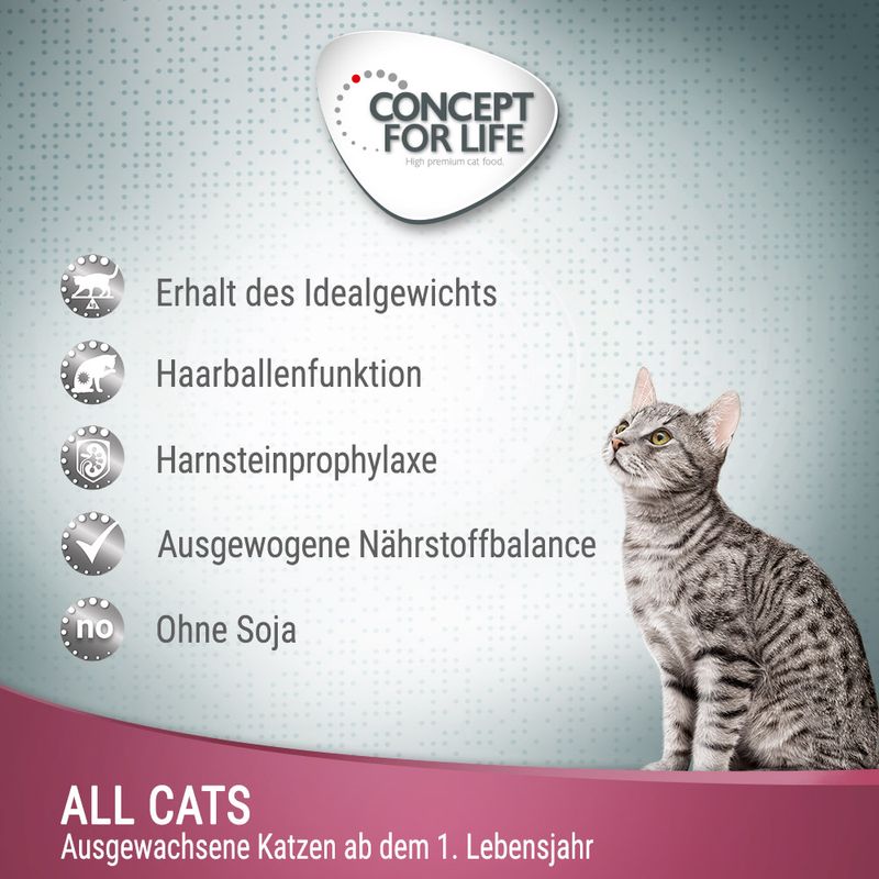 Concept for Life All Cats - in Soße zu TOP-Preisen