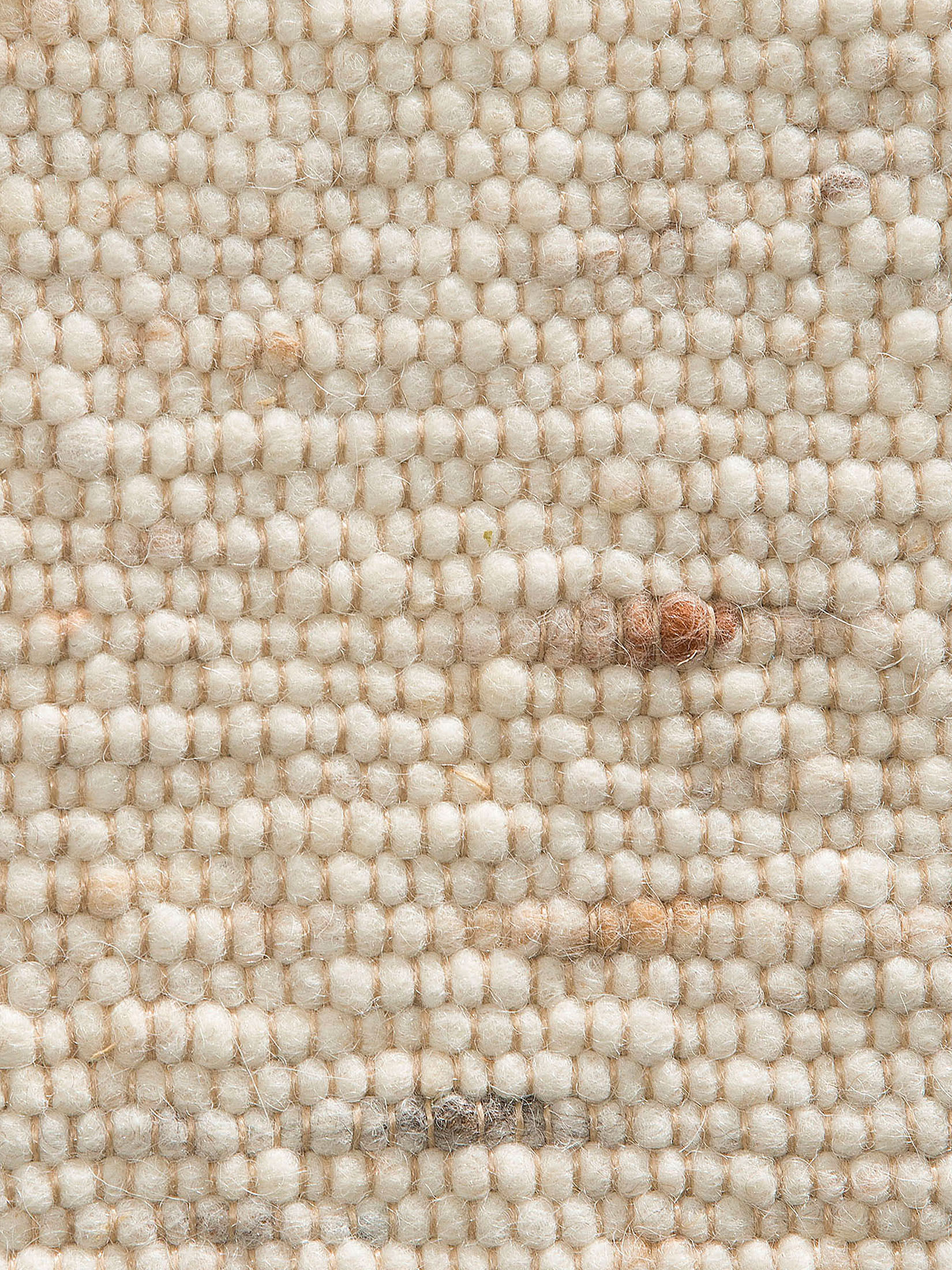 Venus Woll-Teppich, Hellbeige