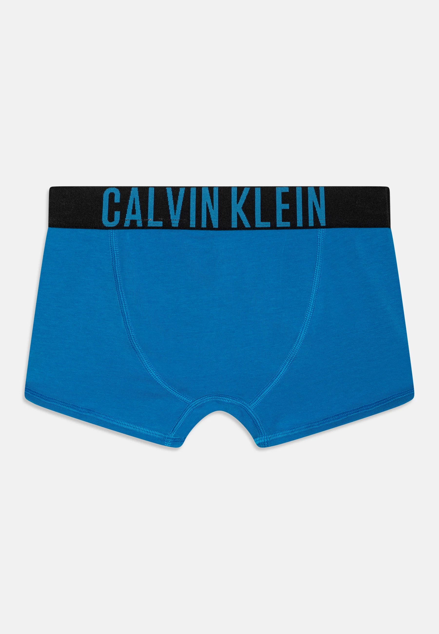 Calvin Klein Underwear TRUNK PACK DE 2 - Culotte