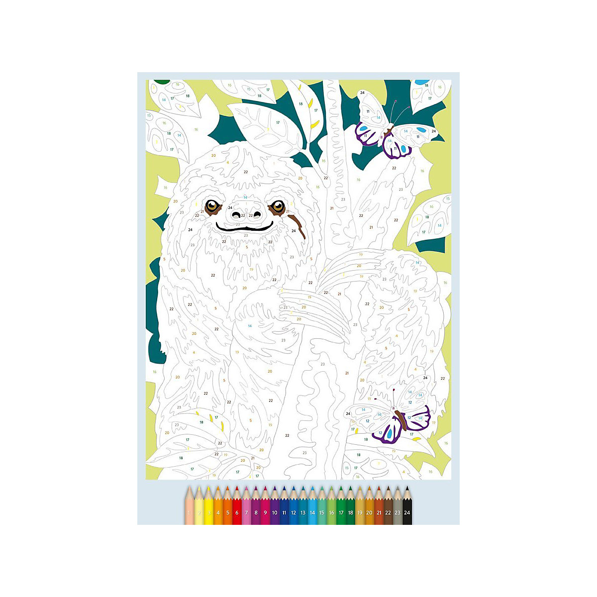 Ravensburger Malen nach Zahlen Animal Dreams - 64 Seiten - 24 Farben - Malbuch mit nummerierten Ausmalfeldern für fortgeschrittene Fans der Reihe
