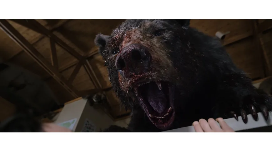 Cocaine Bear