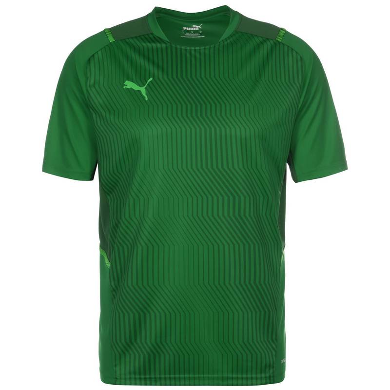 PUMA TeamCUP Funktionsshirt Herren