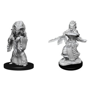 D&D Nolzur's Marvelous Miniatures - Night Hag & Dusk Hag