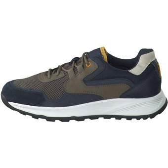 Geox Terrestre B Sneaker in blau