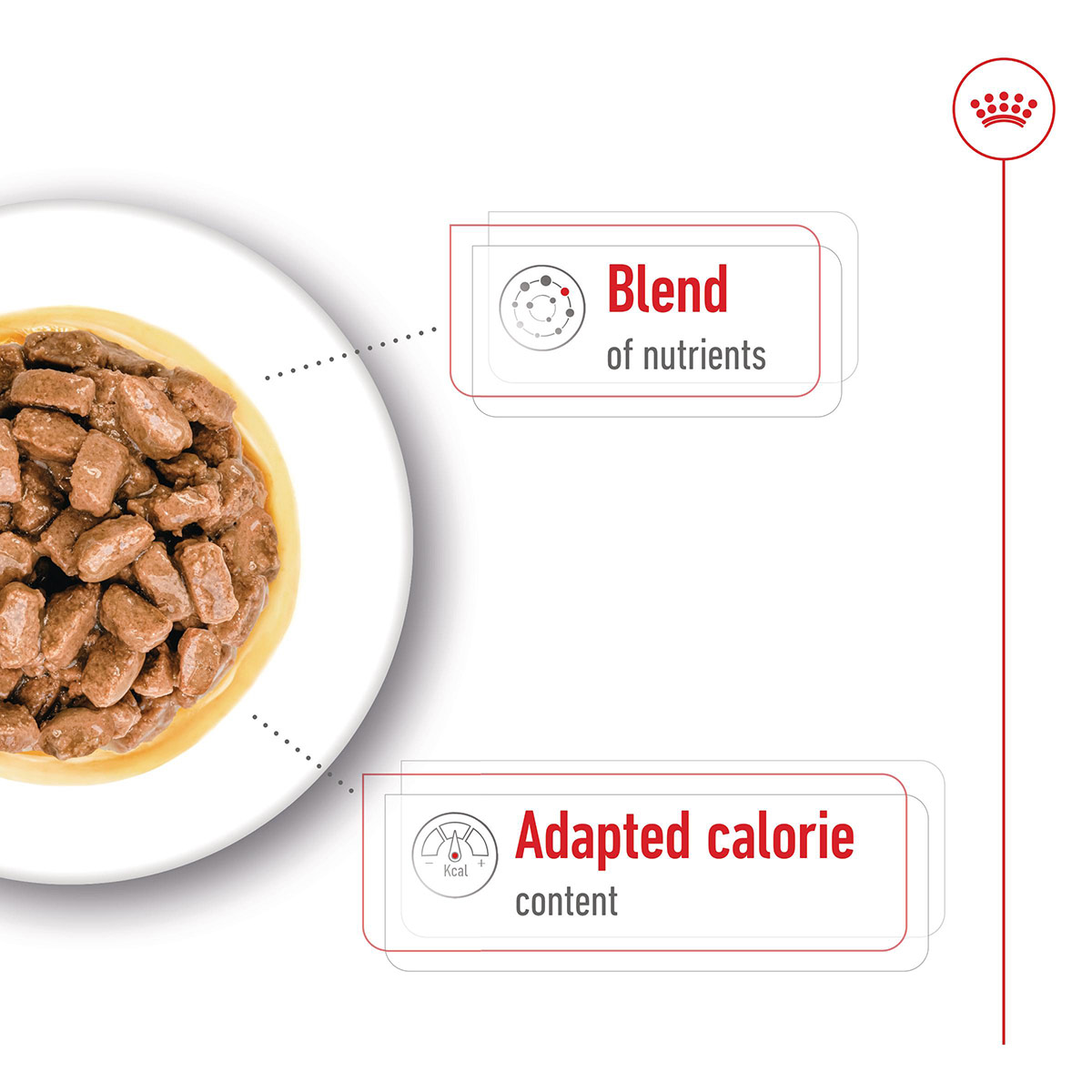 Royal Canin SHN Mini Ageing Gravy günstig kaufen bei ZooRoyal