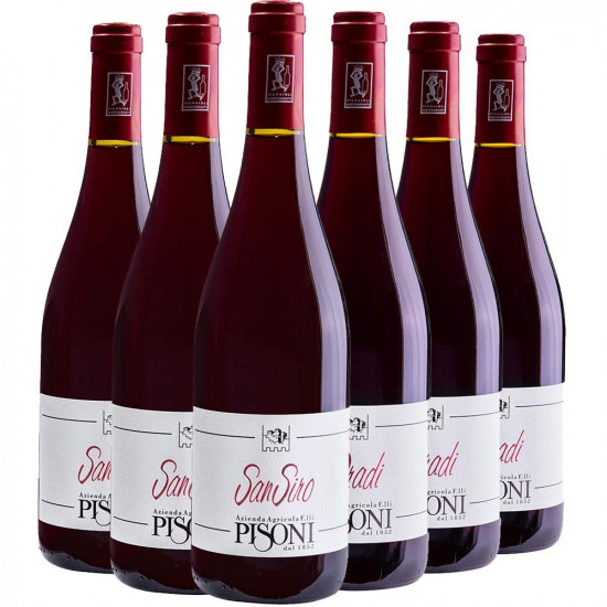Trentino Kennenlern-Paket - Pisoni Azienda Agricola