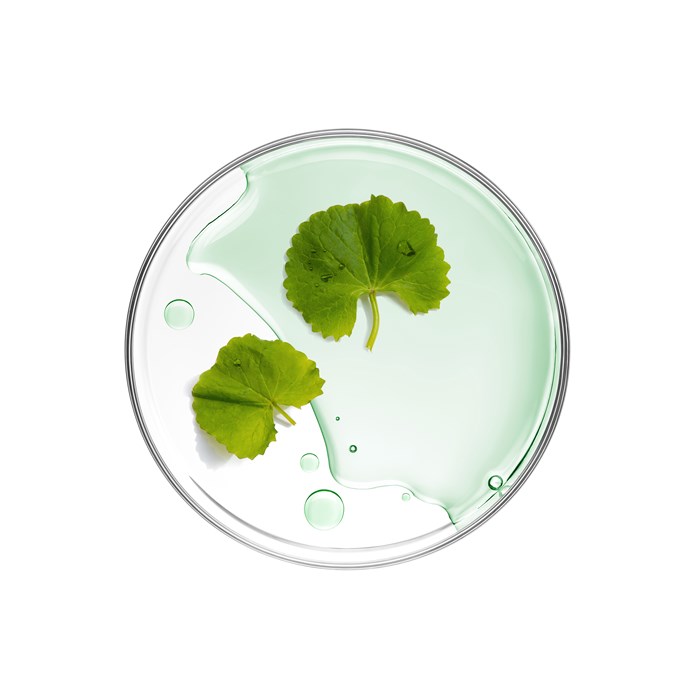Cicaluronic Water Fit Mask