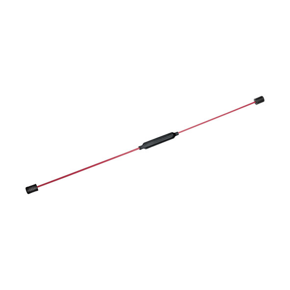 Swing Stick mit DVD