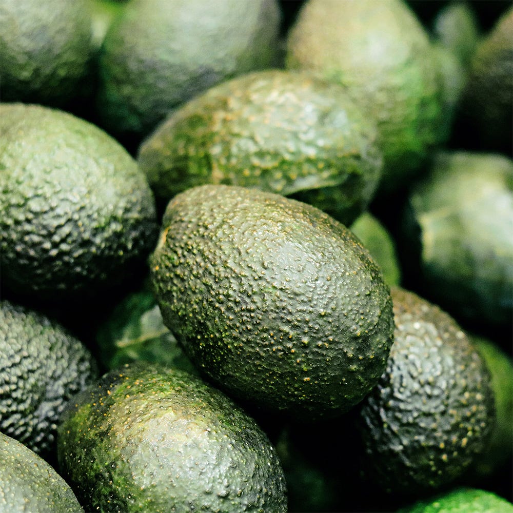 Rausch Farbschutz-Conditioner mit Avocado 150 ml