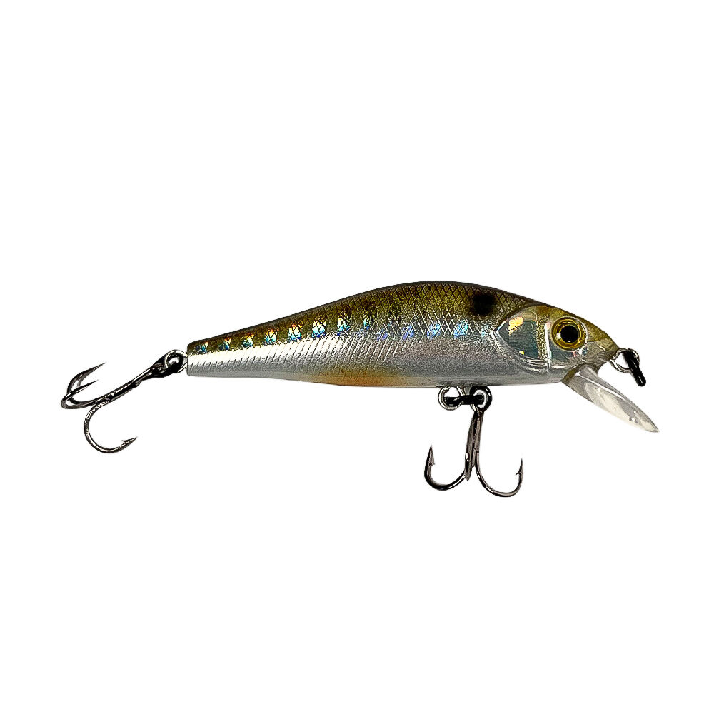 schwimmende Forellenfische + Gratis-Box