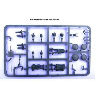Macedonian Phalangites