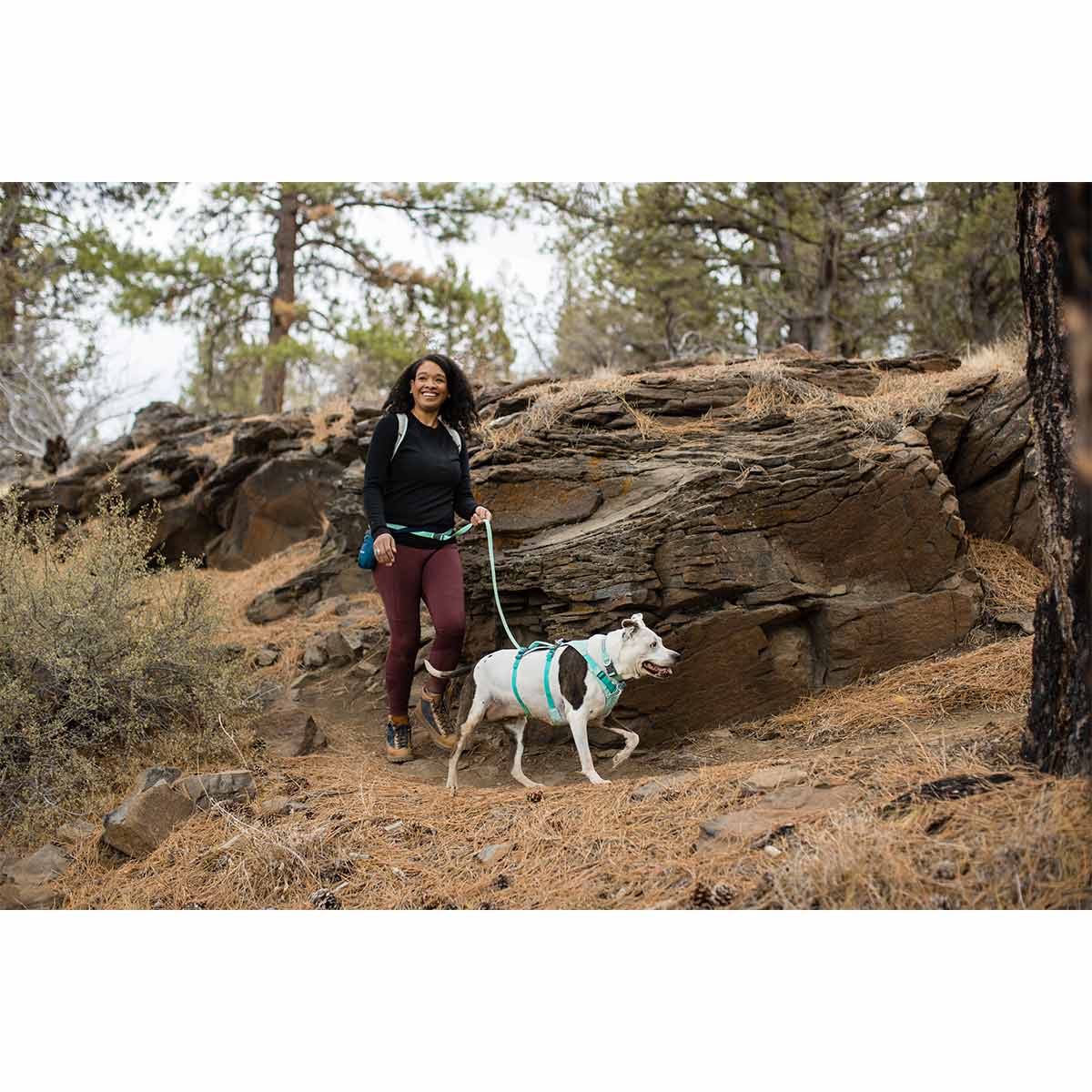 Ruffwear Geschirr Flagline Sage Green günstig kaufen bei ZooRoyal