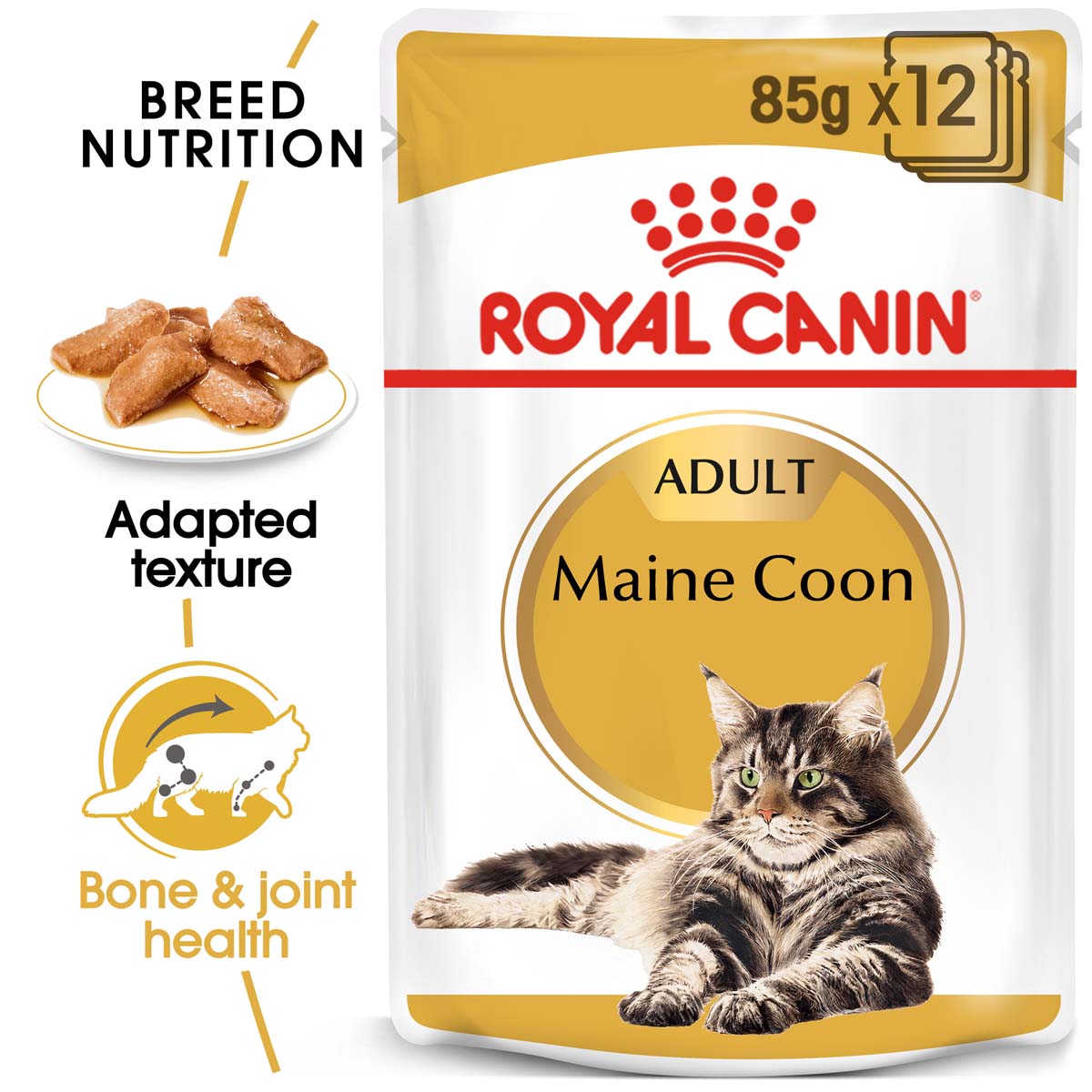 ROYAL CANIN ADULT Maine Coon 2kg + Nassfutter in Soße 12x85g