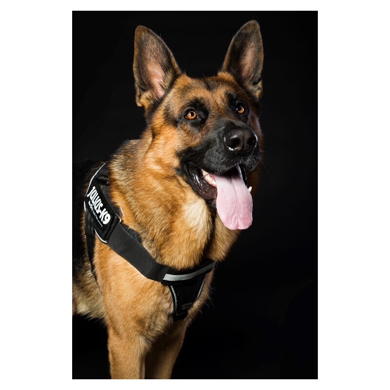 JULIUS-K9 Hundegeschirre JULIUS-K9 IDC Powergeschirr L