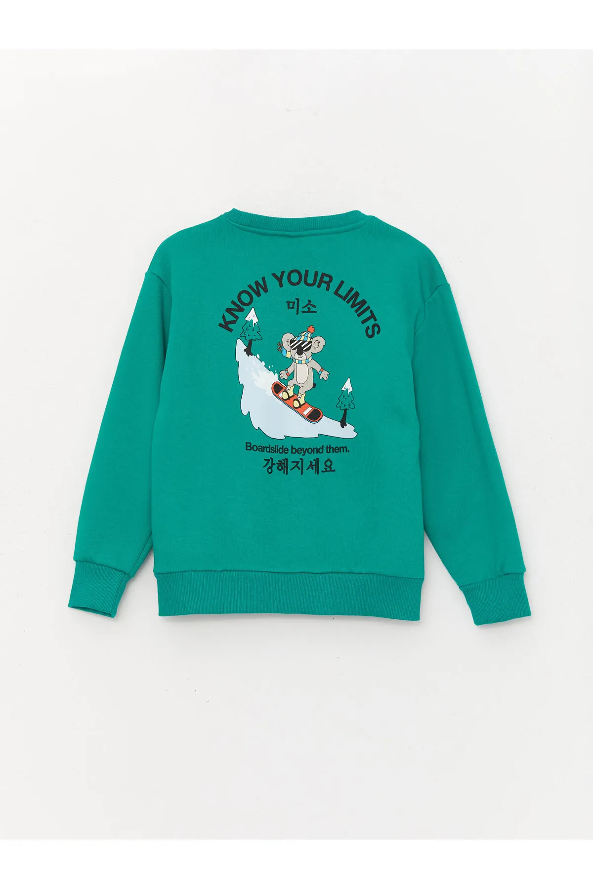 LC Waikiki  Bequemes bedrucktes Jungen-Sweatshirt mit Rundhalsausschnitt