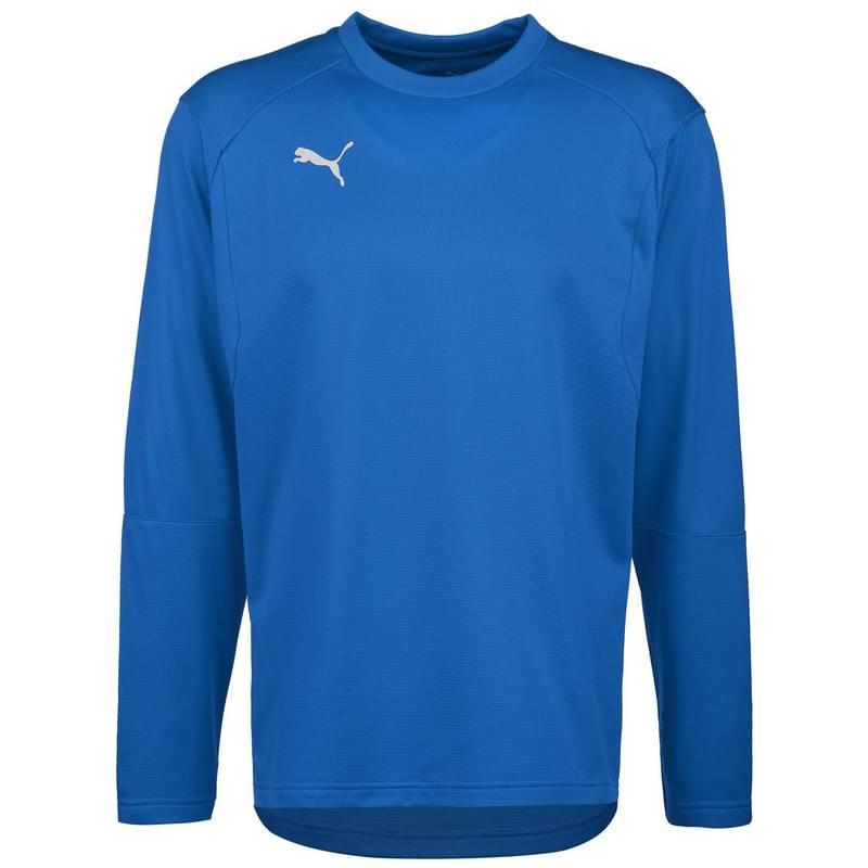 PUMA LIGA Funktionssweatshirt Herren