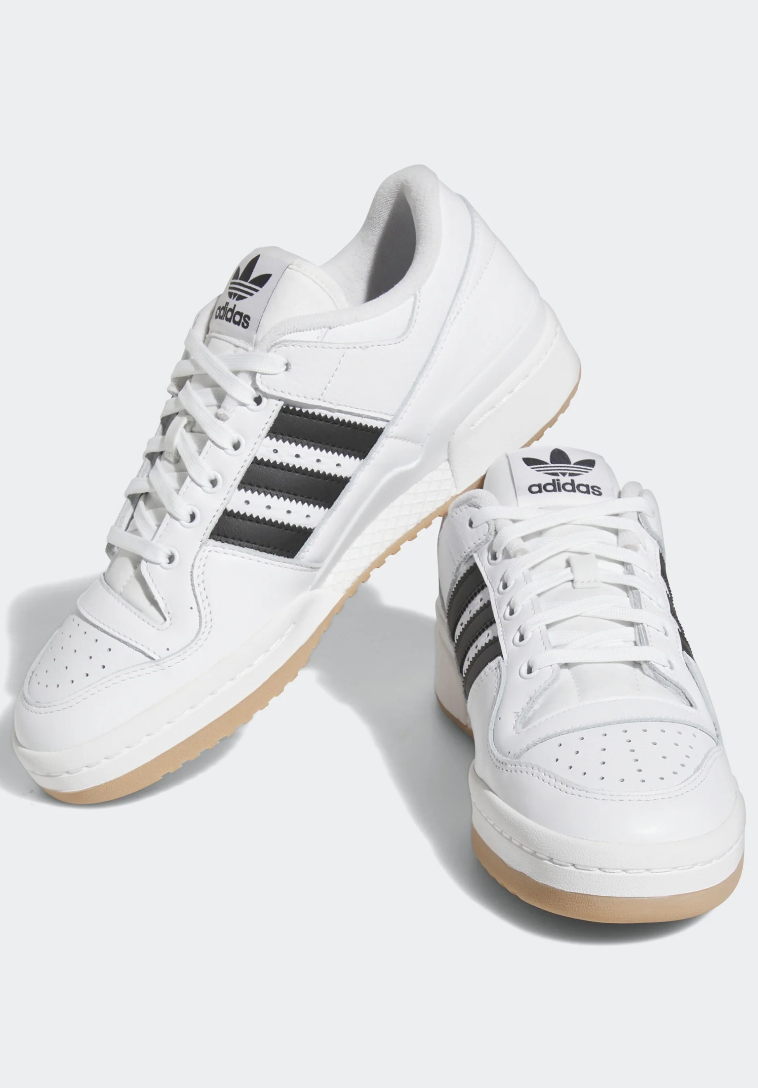 Forum 84 Low ADV