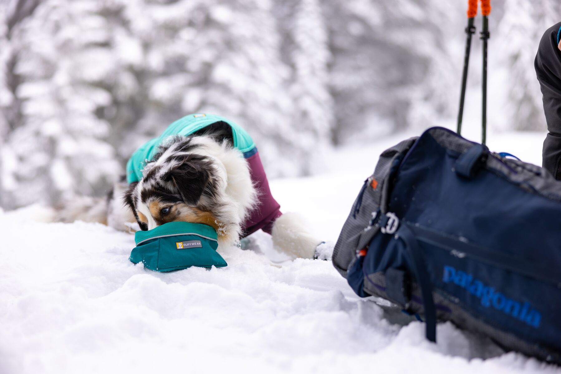 Ruffwear Futternäpfe Ruffwear Quencher™ Napf entenbraun L