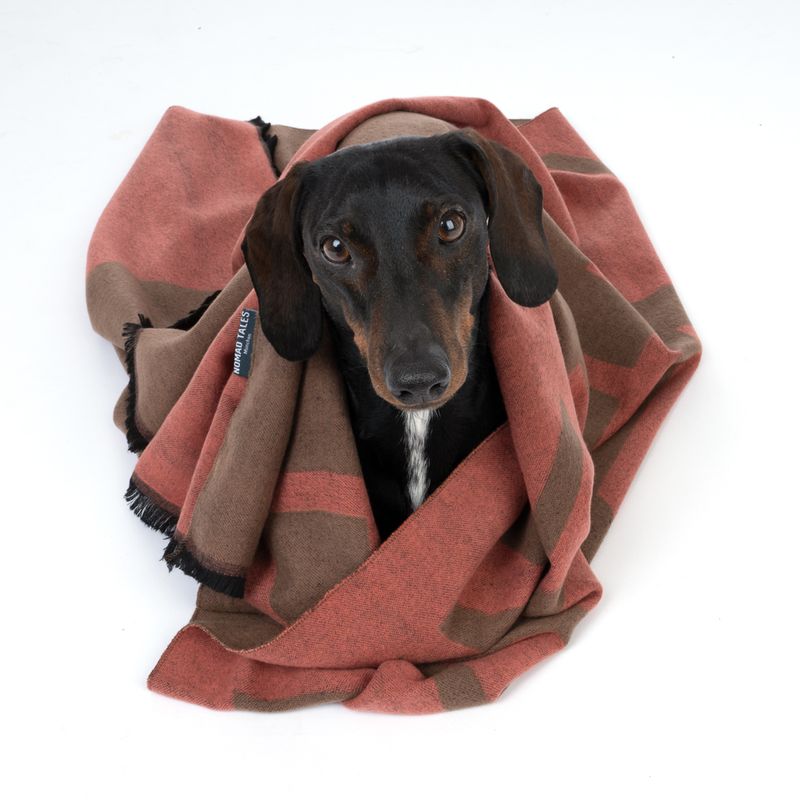 Nomad Tales Bloom Kuscheldecke Coral zu TOP-Preisen