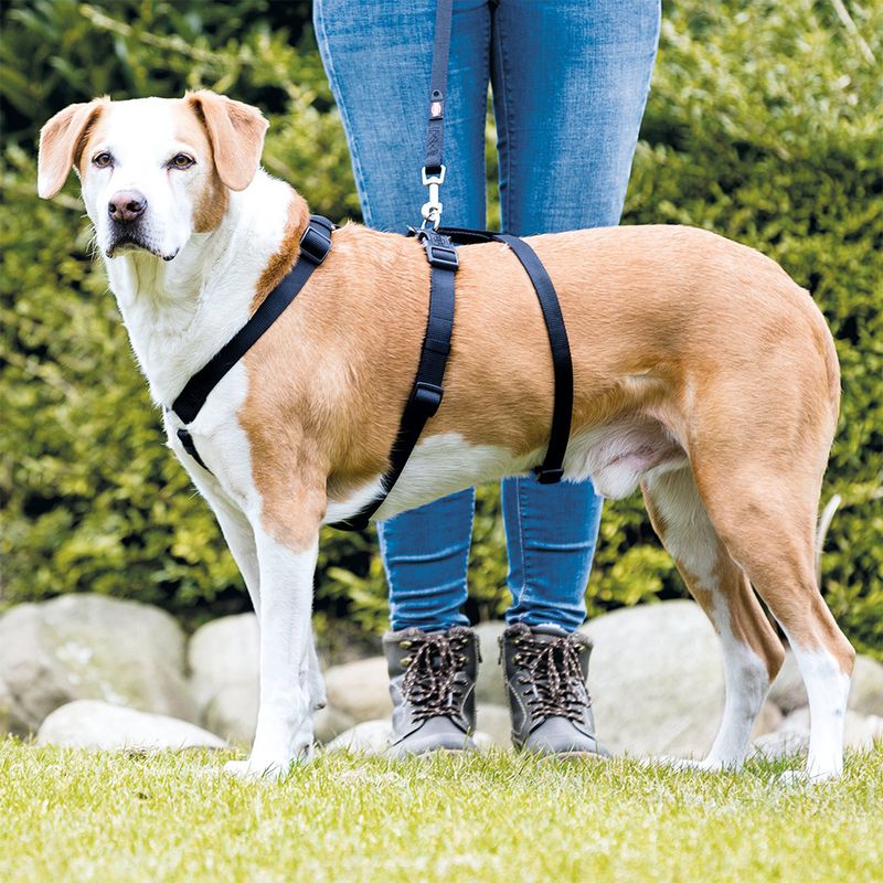 Trixie Panikgeschirr Stay Schwarz zu TOP-Preisen
