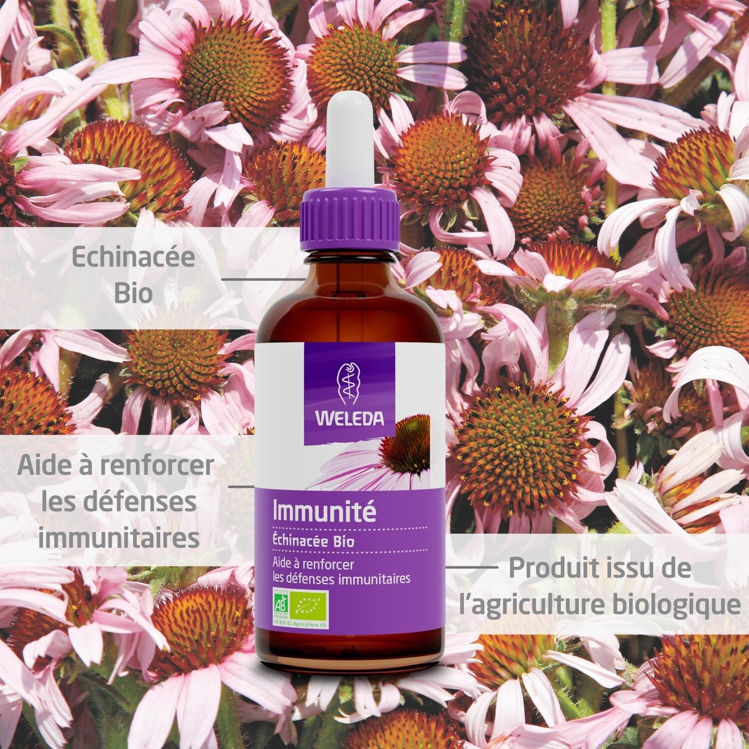 Weleda EPB® Échinacée Bio Immunité - Complément Alimentaire Naturel - 60 ml