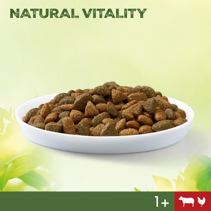 Perfect Fit Natural Vitality Adult 1+ Rind und Huhn