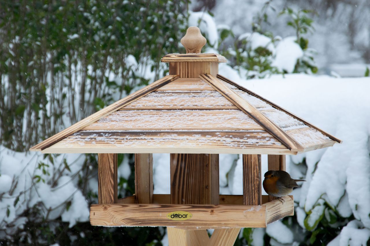 dobar Vogelhaus quadratisch zum Aufstellen, geflammt