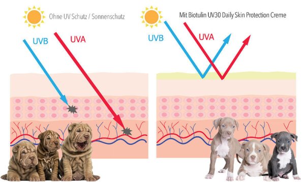 Biotulin UV30 Daily Skin Protection Creme Gesichtscreme