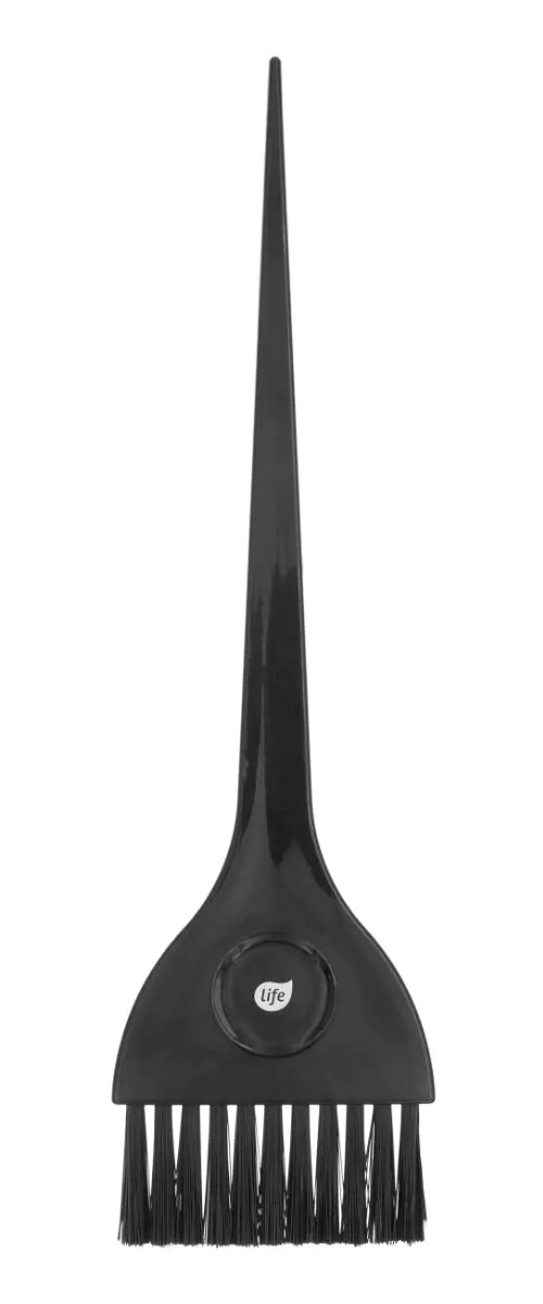 Gyvenimo teptukas