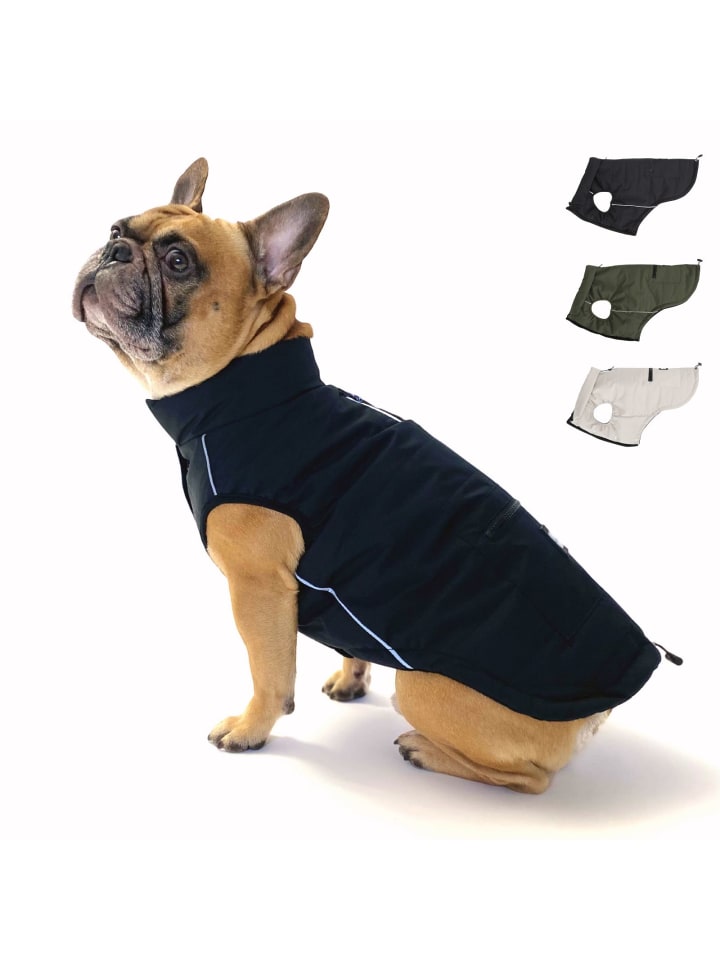 PAW WOW Hundejacke TONI Schwarz günstig kaufen