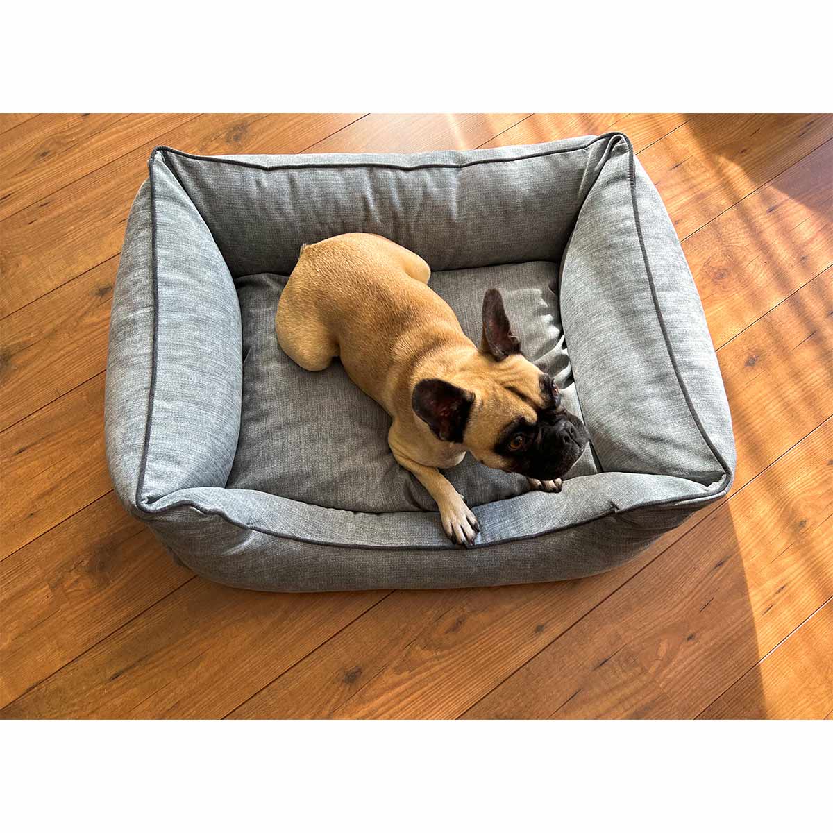 Aumüller Hundebett Sofa Ortho Line Grau kaufen bei ZooRoyal