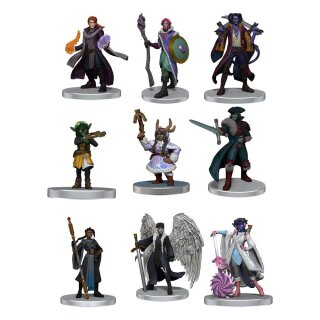 Critical Role: The Mighty Nein Boxed Set (pre-painted) (9)