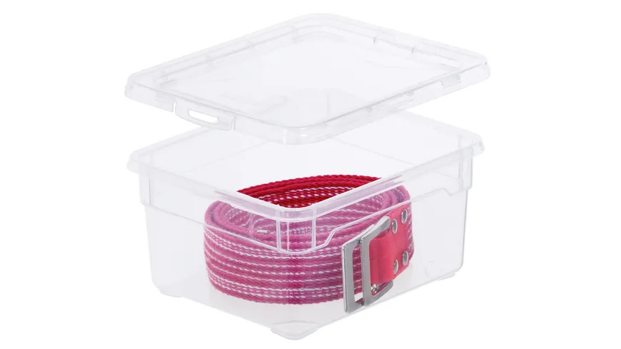 rotho Clearbox / Klarsichtbox Small