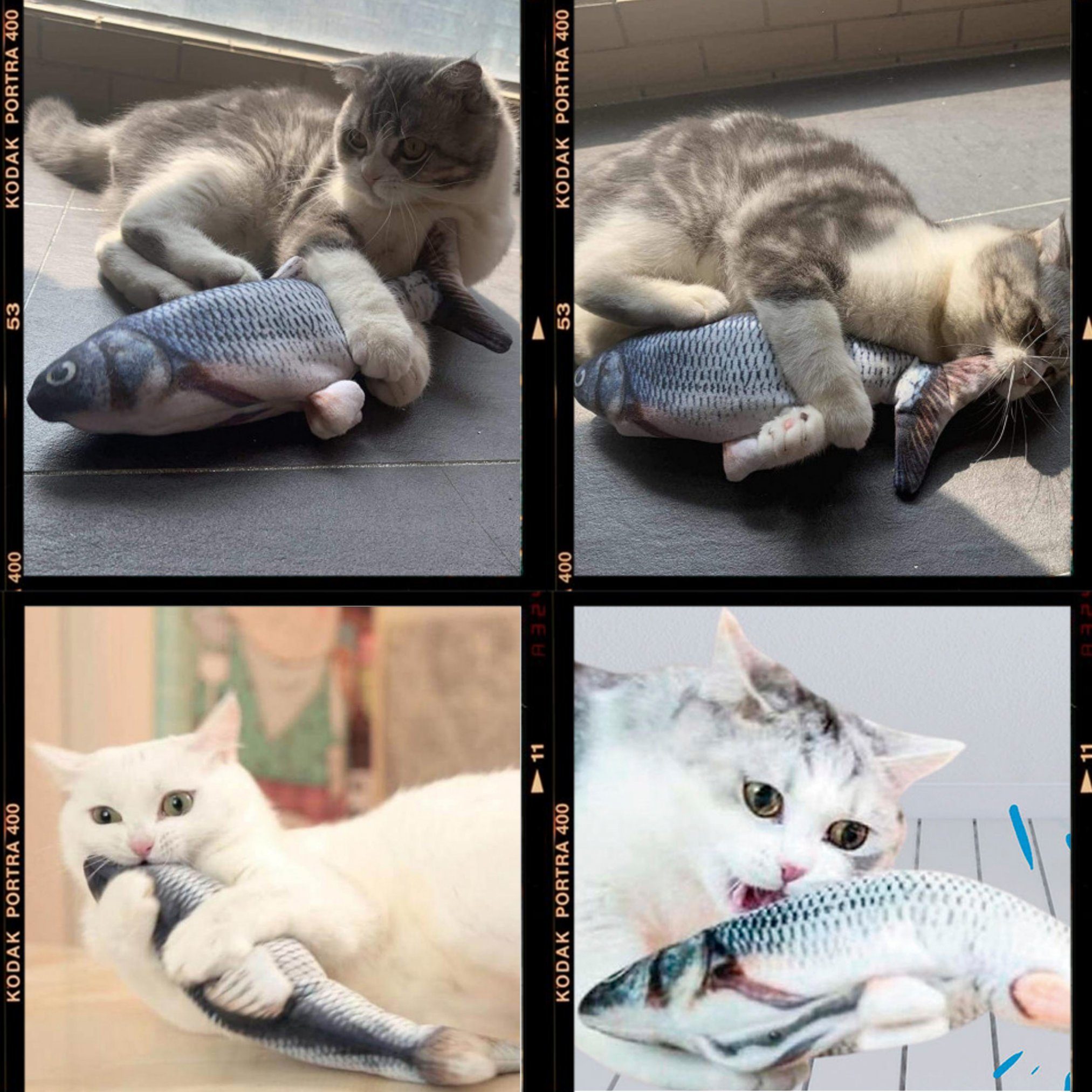 Best Direct® Tier-Beschäftigungsspielzeug Magic Fish®, Baumwolle, Polyester, Katzenspielzeug zappelnder, bewegender Fisch mit Katzenminze