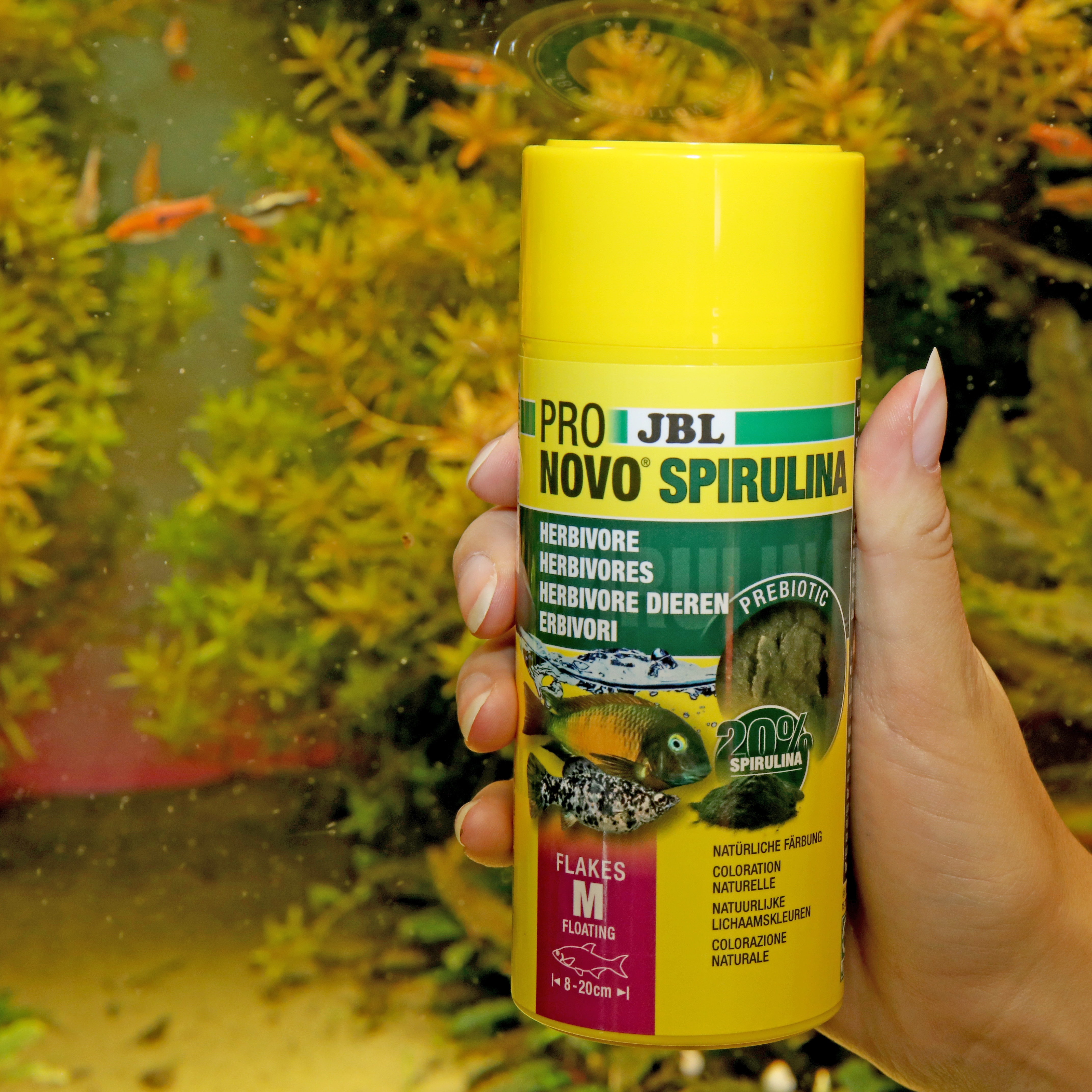 JBL Hauptfutter JBL PRONOVO Spirulina Flakes M 250ml