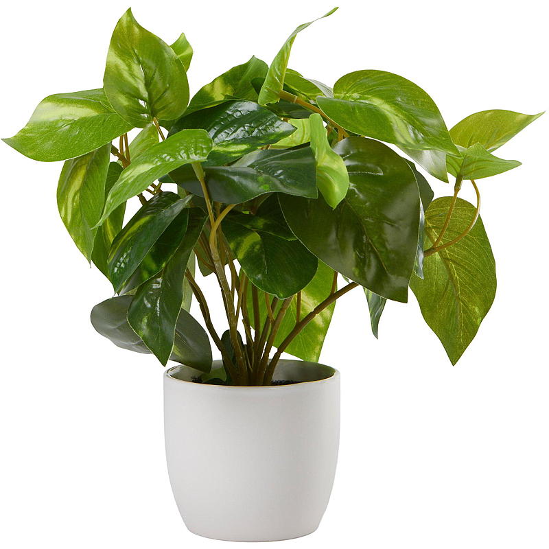 Home Grønnplante 25 cm i porselenspotte