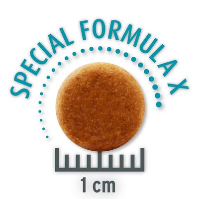 Sparpaket Concept for Life Trockennahrung zum Vorteilspreis