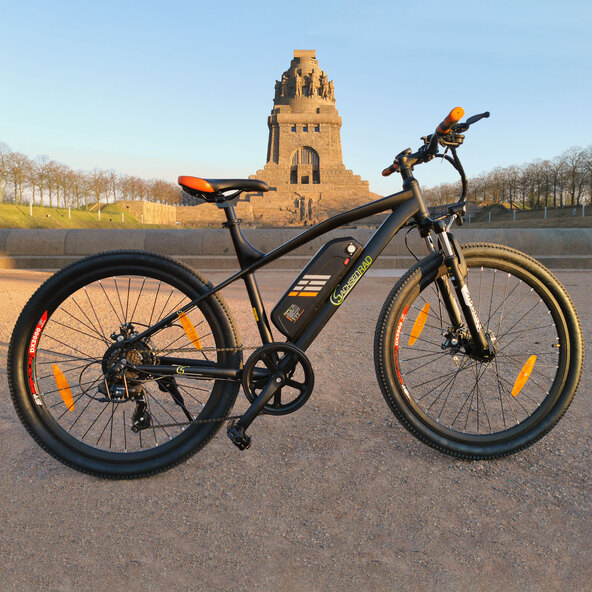 E-Mountainbike R6 Neo 26