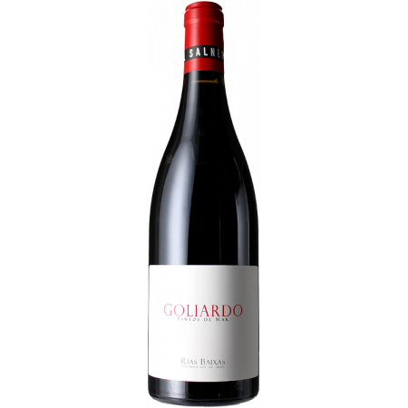GOLIARDO TINTO 2020 - BODEGA FORJAS DEL SALNES