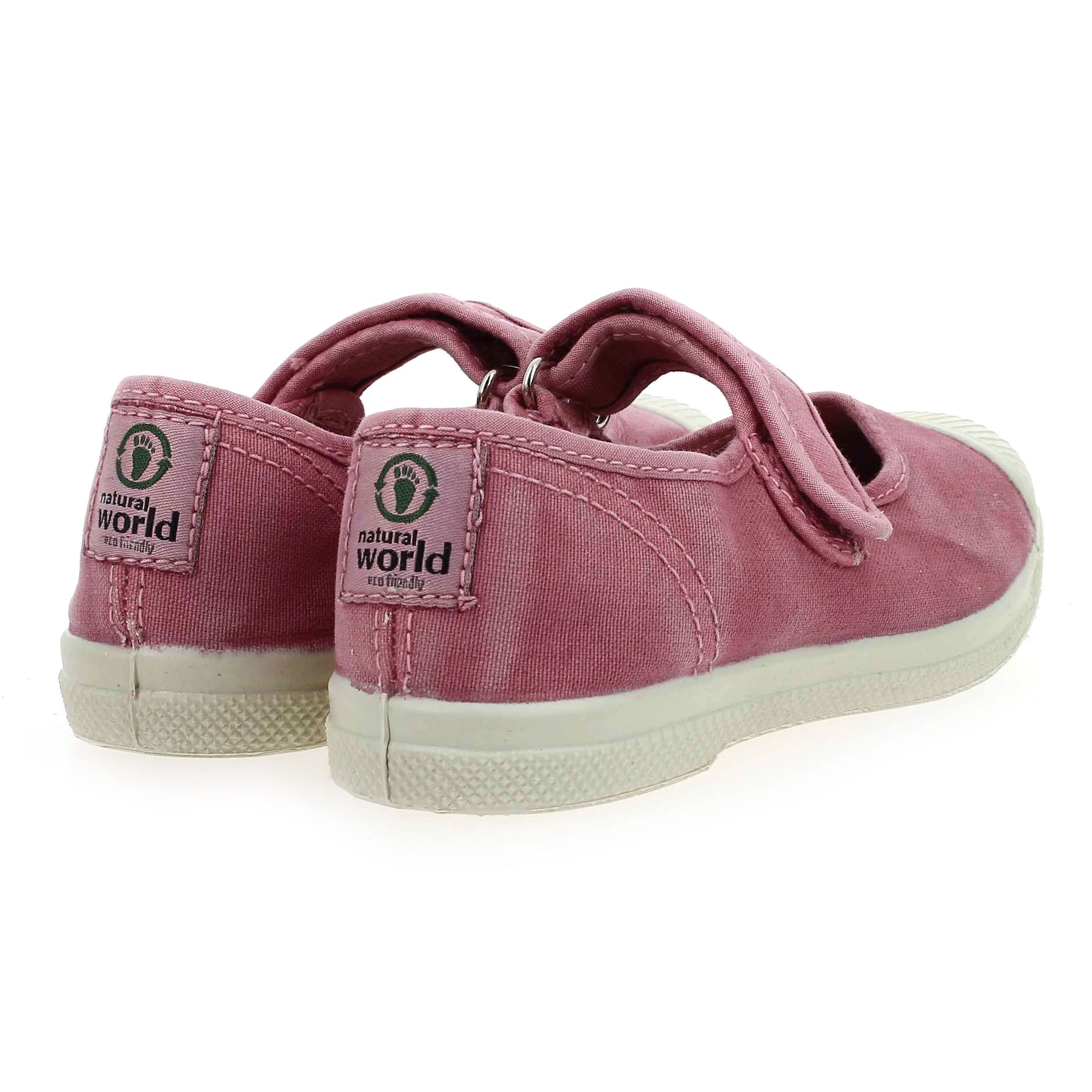 Natural world  476 E - Rose